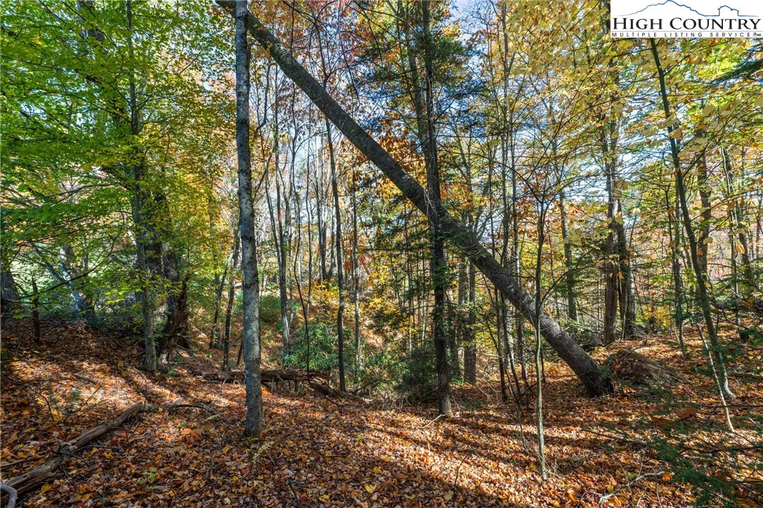 Image number 3 for the current listing