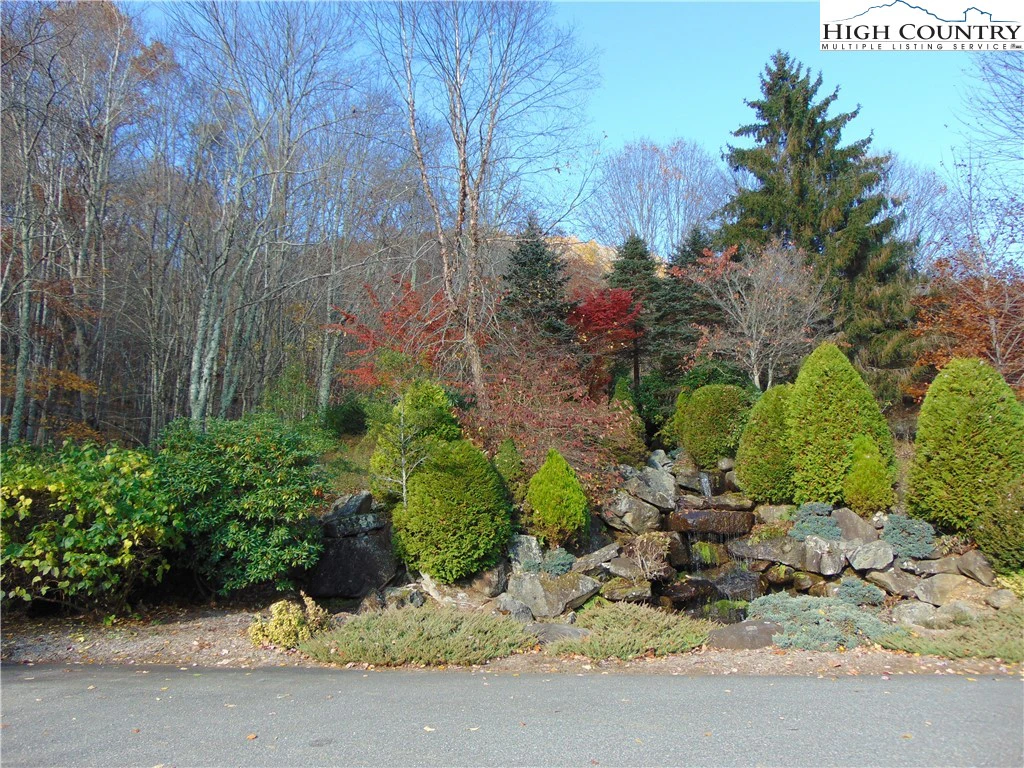 Image number 11 for the current listing