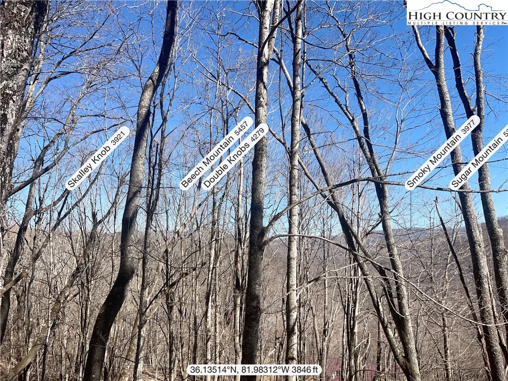 Image number 1 for the current listing