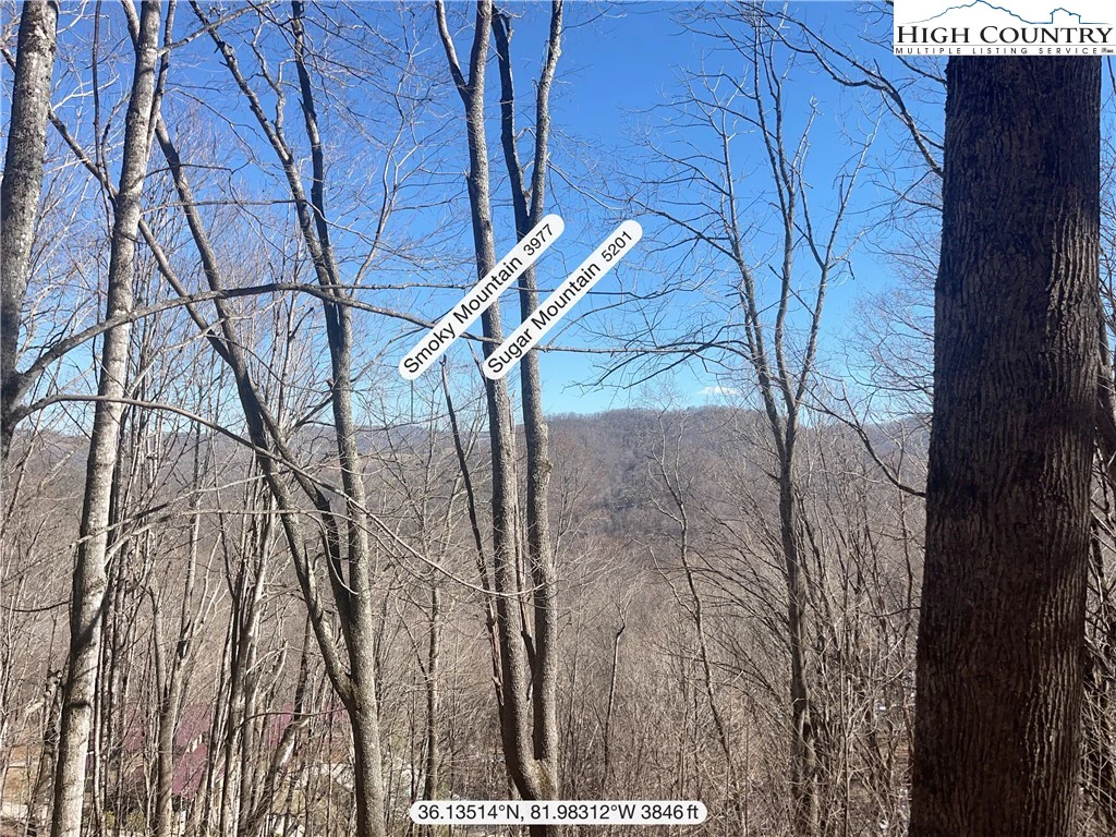 Image number 3 for the current listing