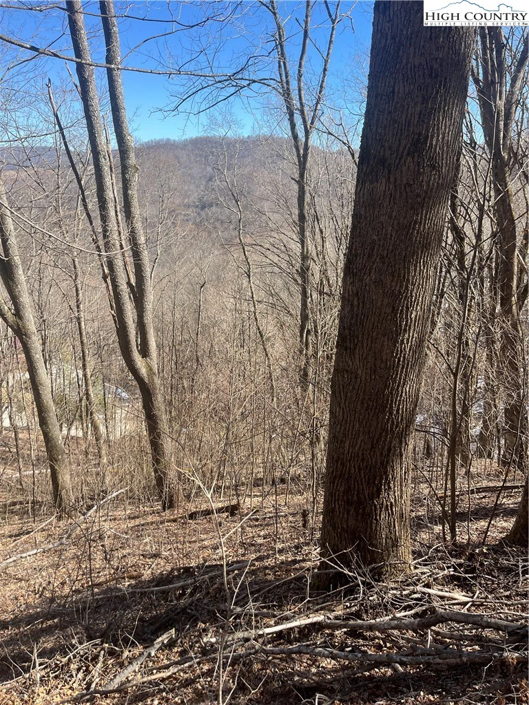 Image number 6 for the current listing