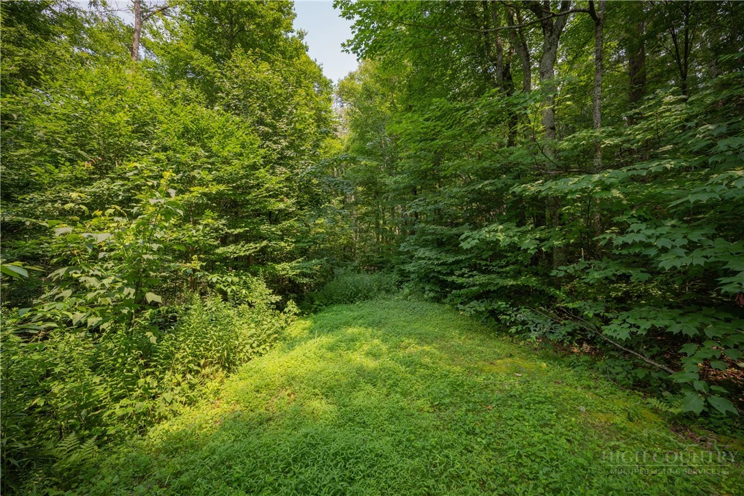 Image number 1 for the current listing