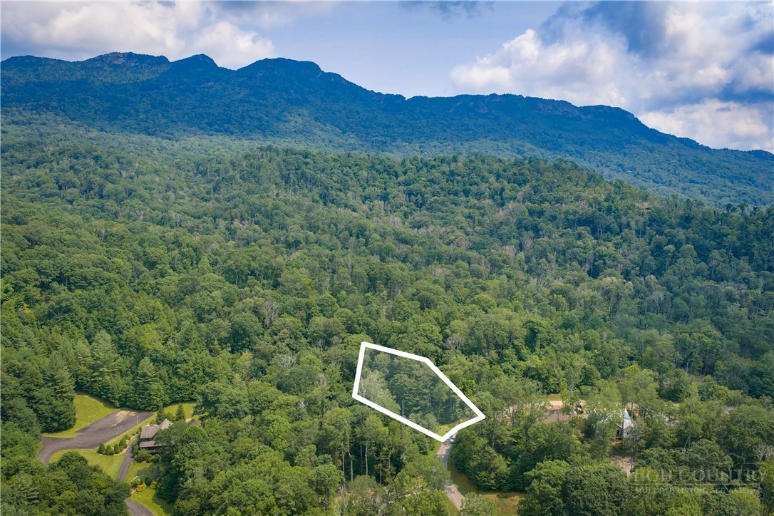Image number 2 for the current listing