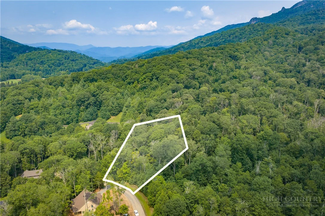 Image number 3 for the current listing