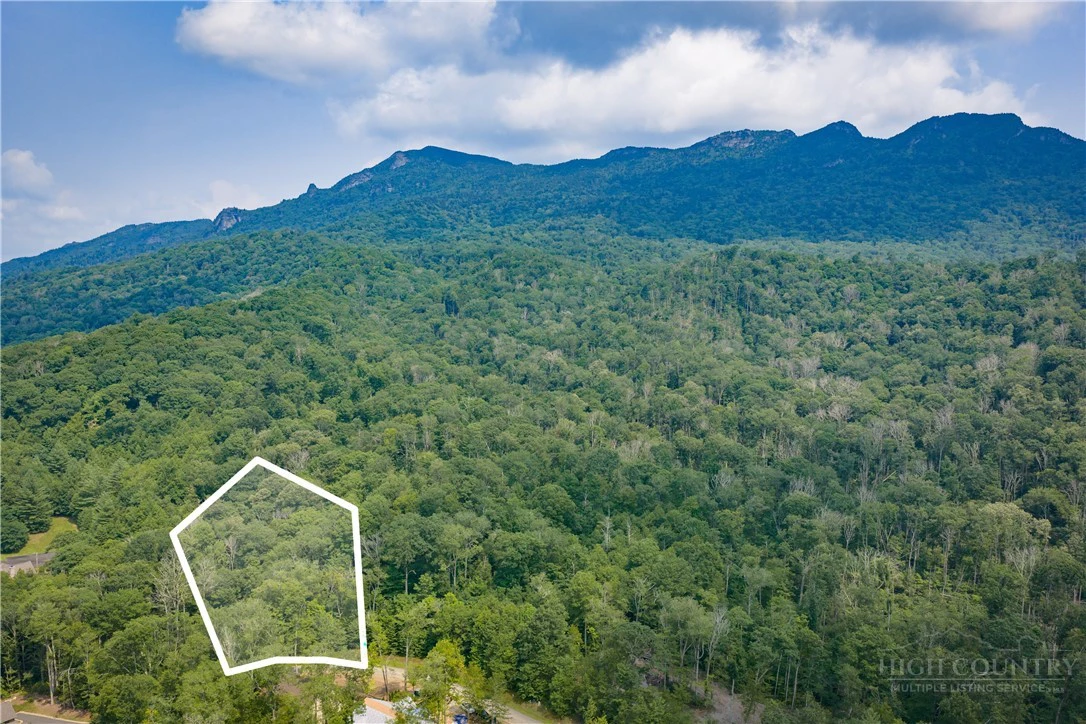 Image number 4 for the current listing