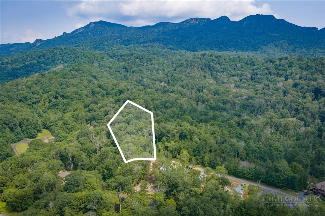 Image number 5 for the current listing