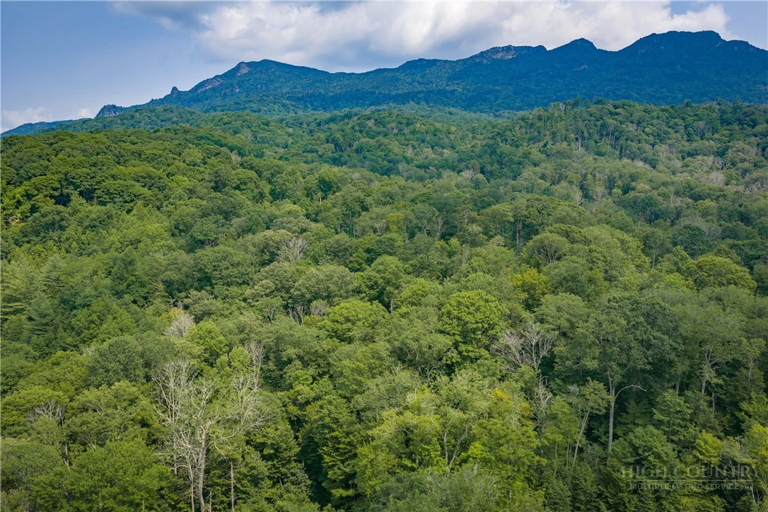 Image number 9 for the current listing