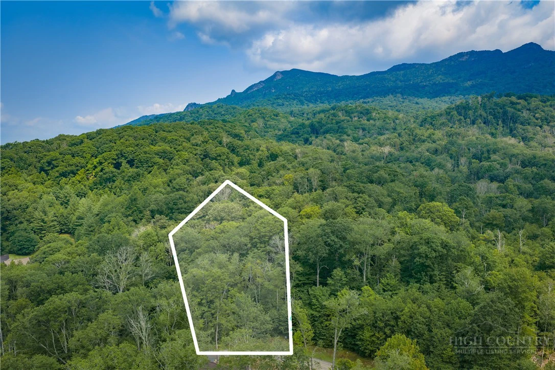 Image number 11 for the current listing