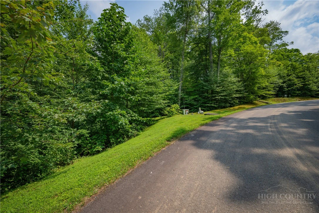 Image number 12 for the current listing