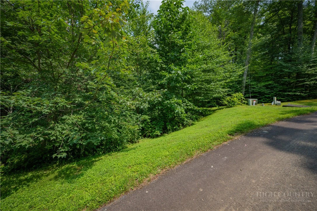 Image number 13 for the current listing