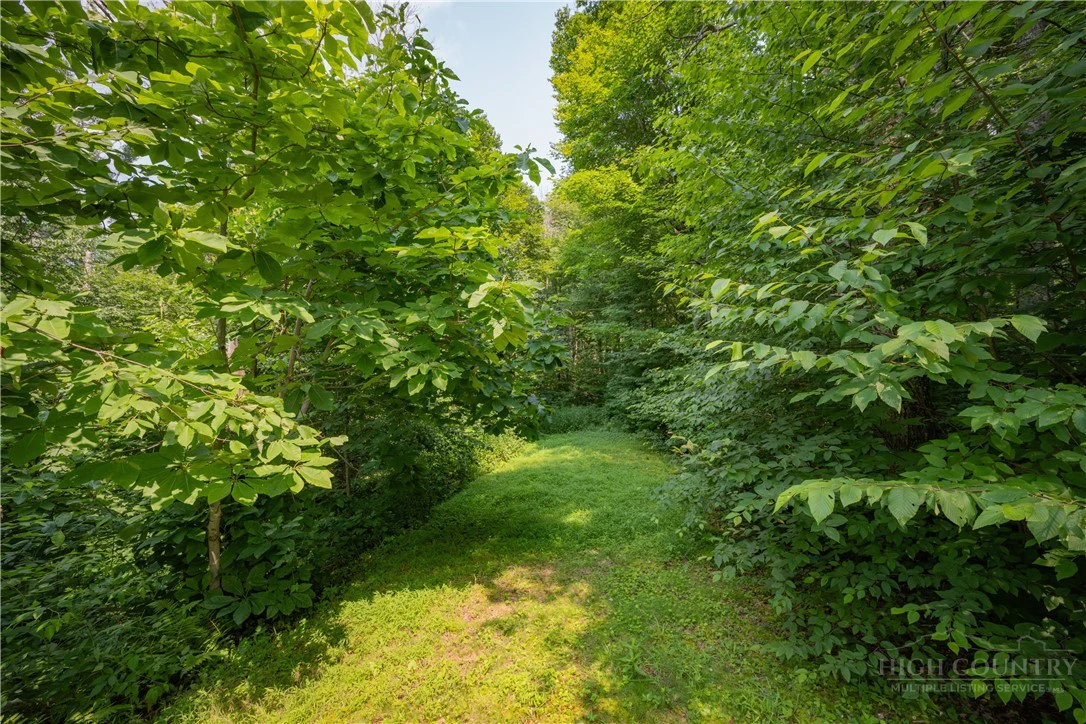 Image number 14 for the current listing