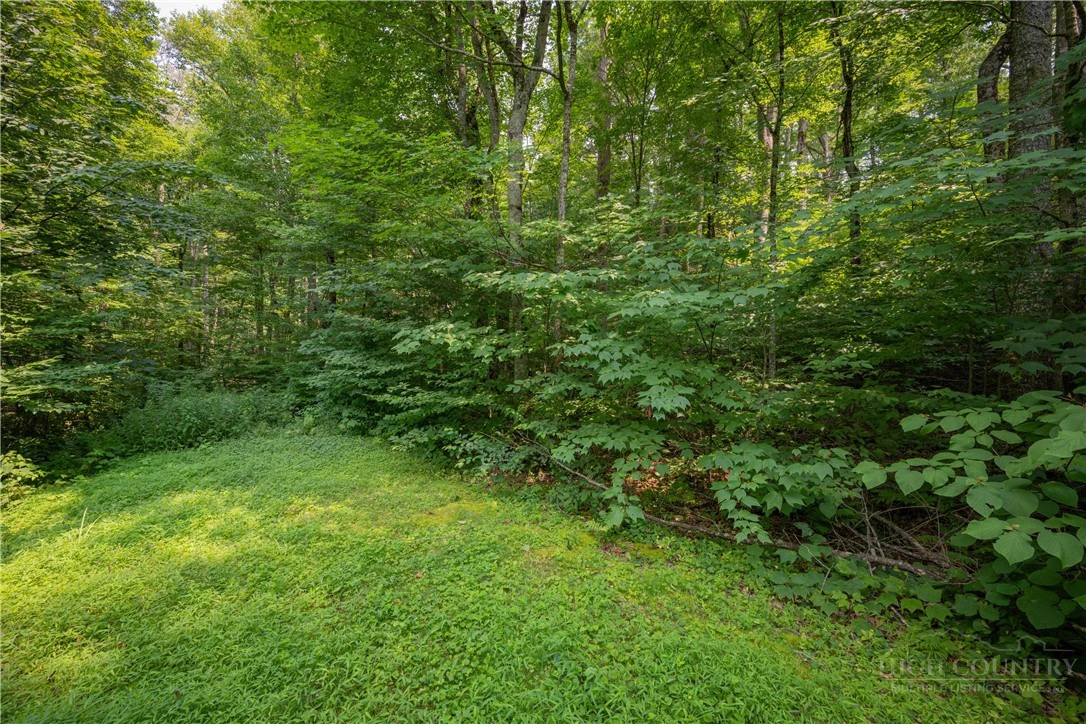 Image number 15 for the current listing