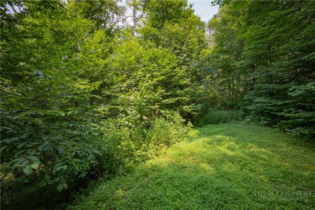 Image number 16 for the current listing