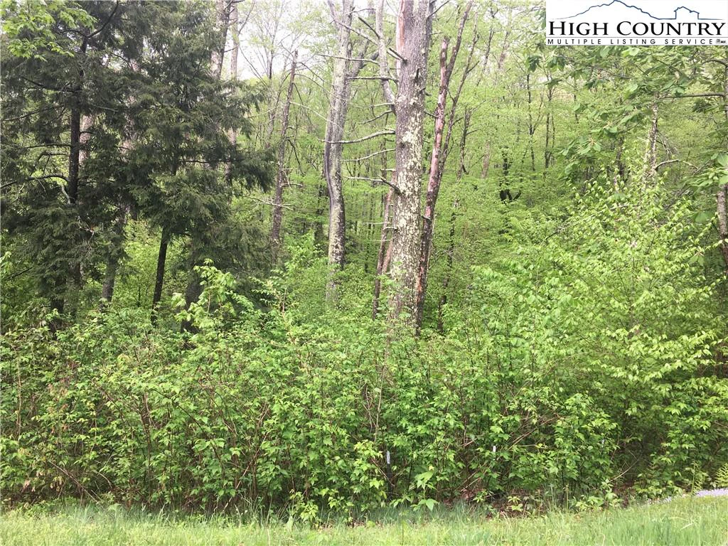 Image number 1 for the current listing