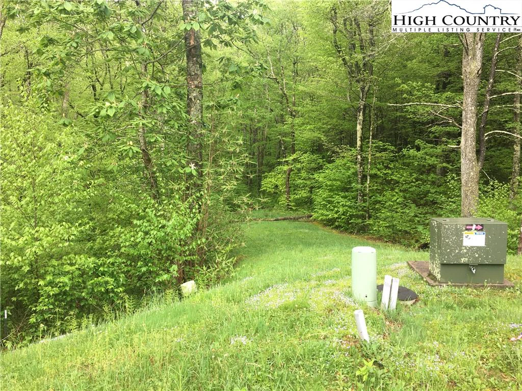Image number 5 for the current listing