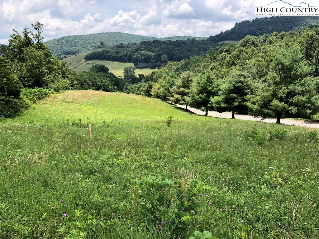 Image number 1 for the current listing