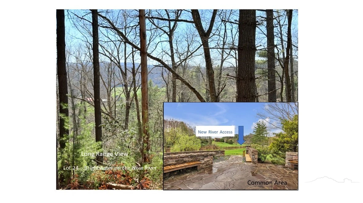 Image number 12 for the current listing