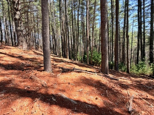 Image number 3 for the current listing