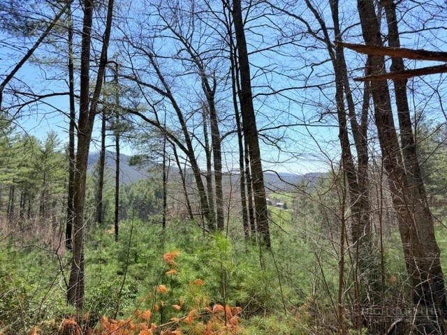 Image number 5 for the current listing