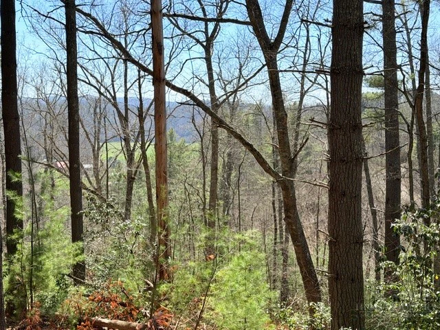 Image number 6 for the current listing