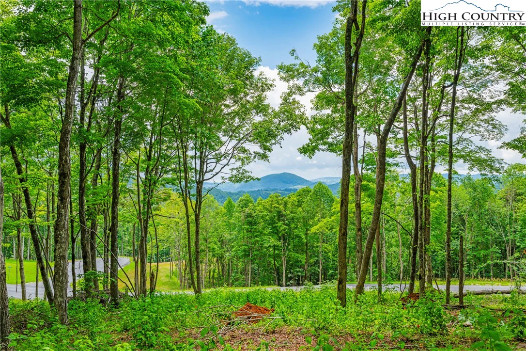 Image number 4 for the current listing