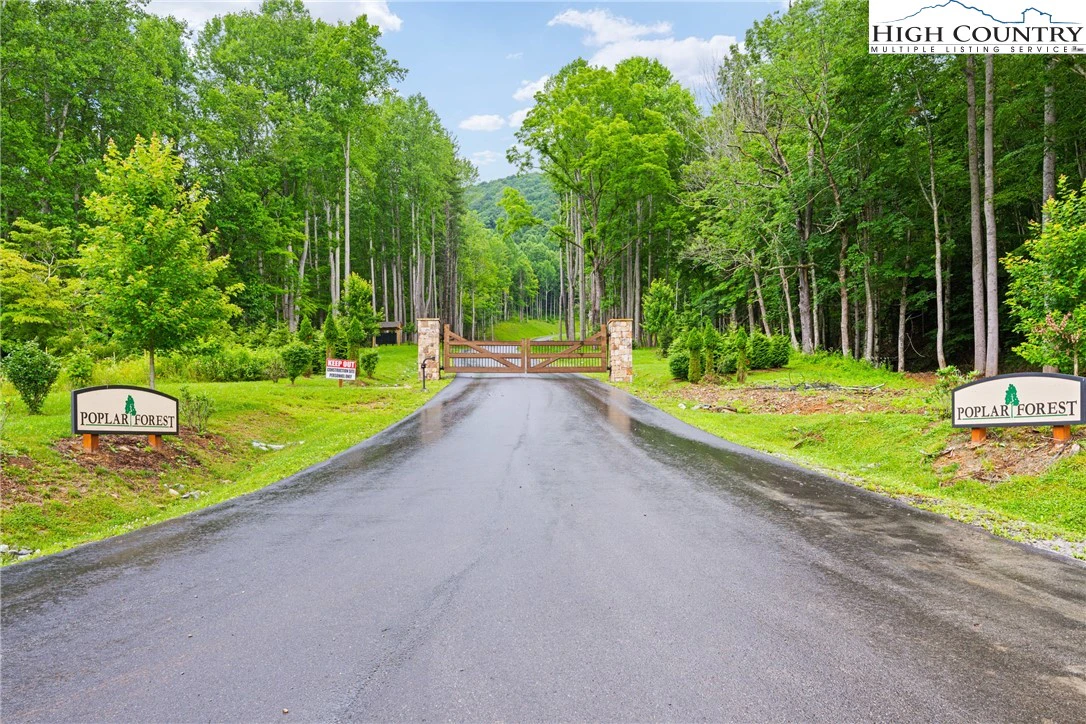 Image number 5 for the current listing