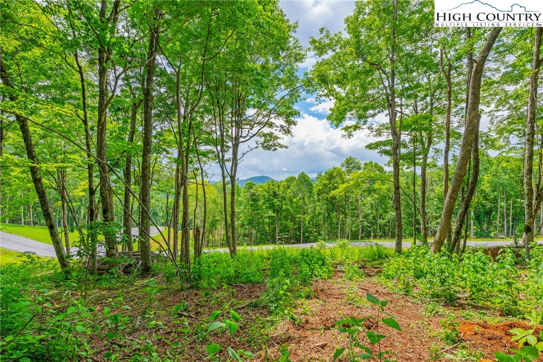 Image number 7 for the current listing