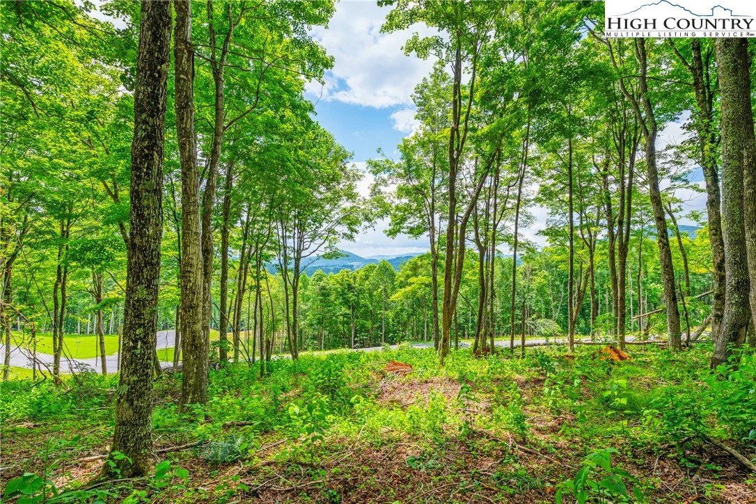 Image number 9 for the current listing
