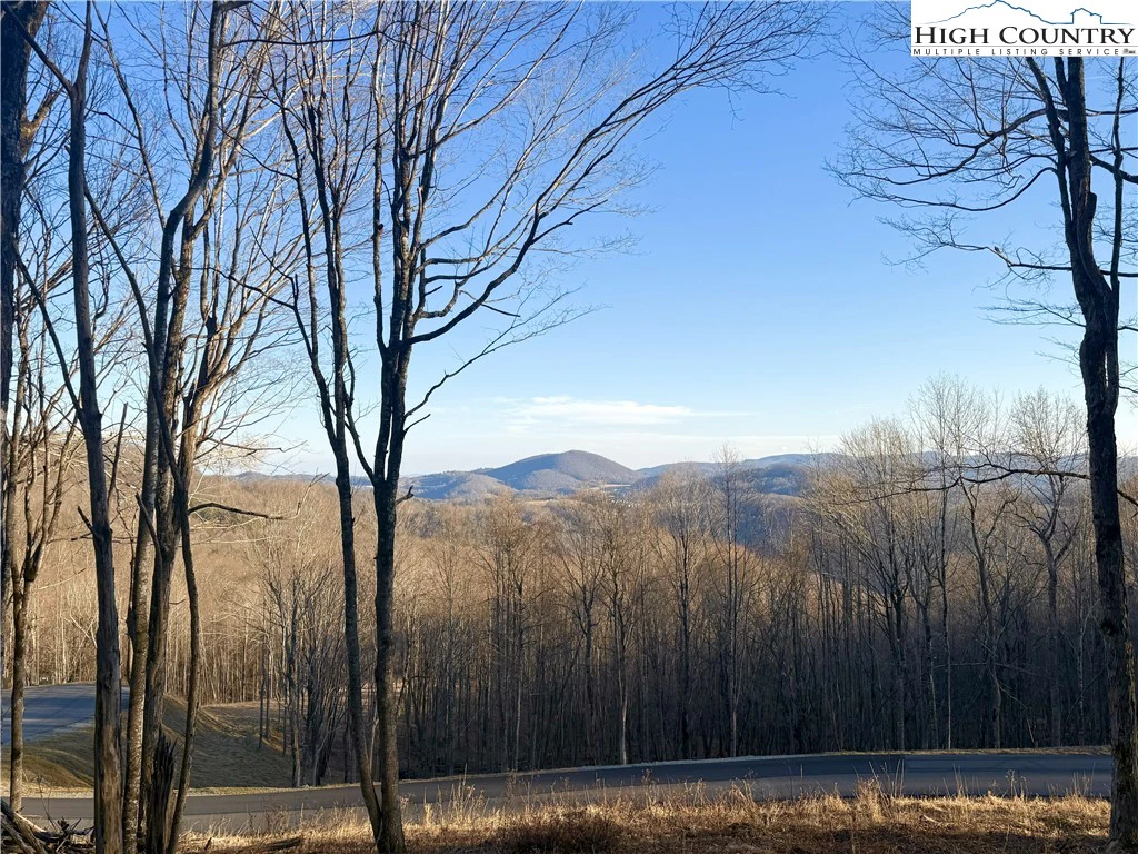 Image number 1 for the current listing