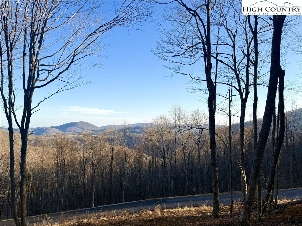 Image number 3 for the current listing
