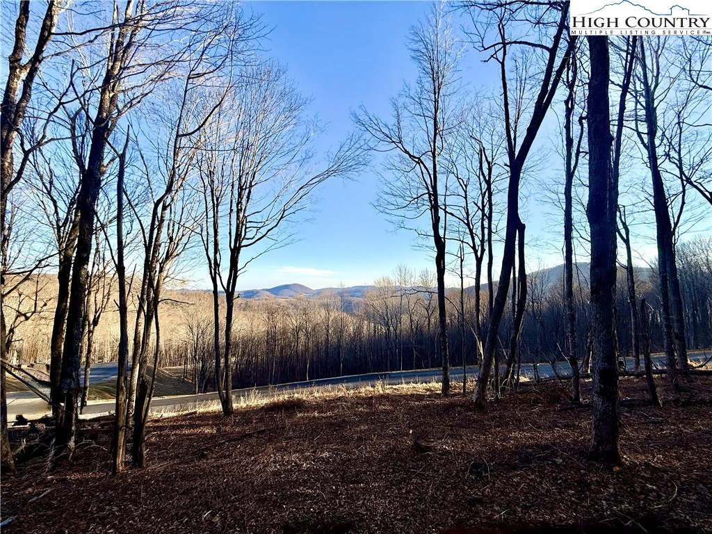 Image number 8 for the current listing