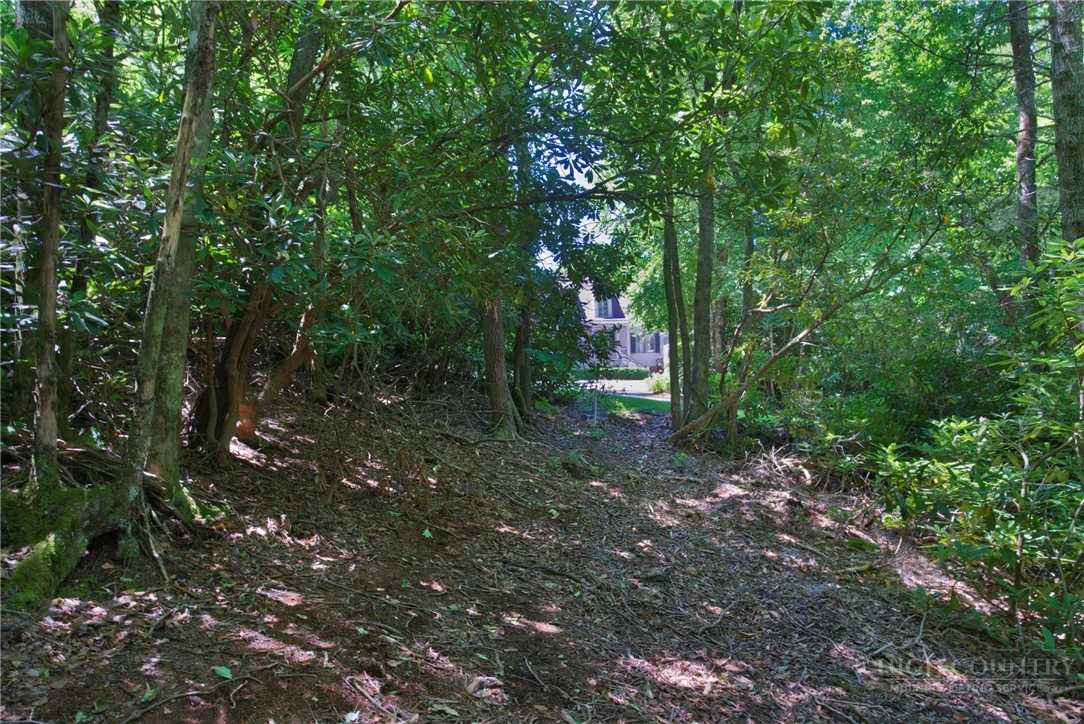 Image number 1 for the current listing