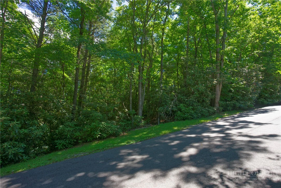 Image number 3 for the current listing