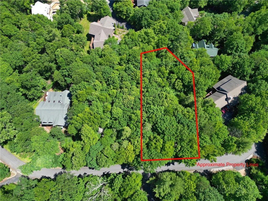 Image number 7 for the current listing