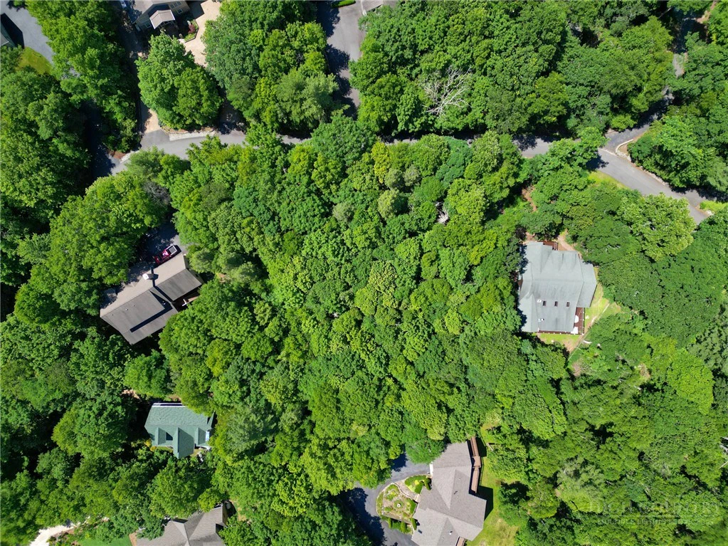 Image number 11 for the current listing