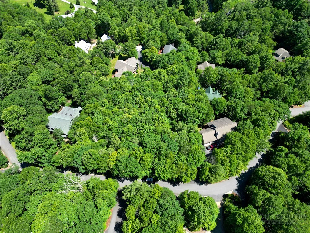 Image number 12 for the current listing