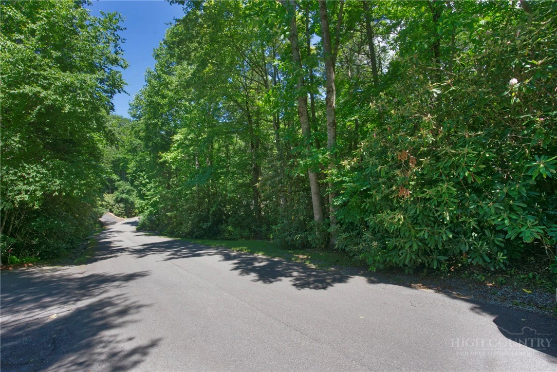 Image number 15 for the current listing