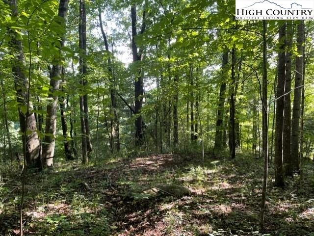 Image number 1 for the current listing