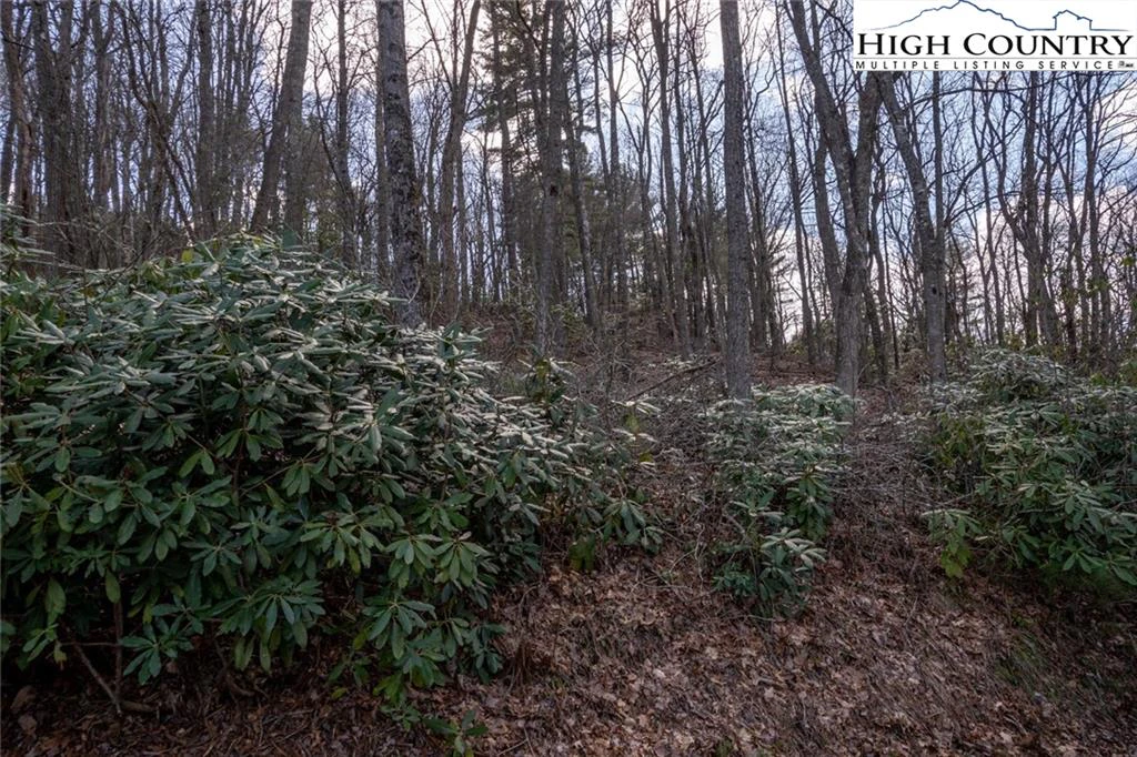 Image number 3 for the current listing