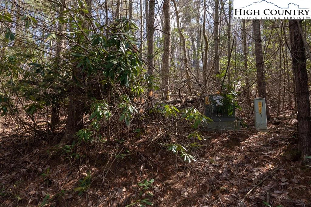 Image number 4 for the current listing