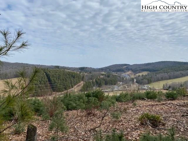 Image number 1 for the current listing