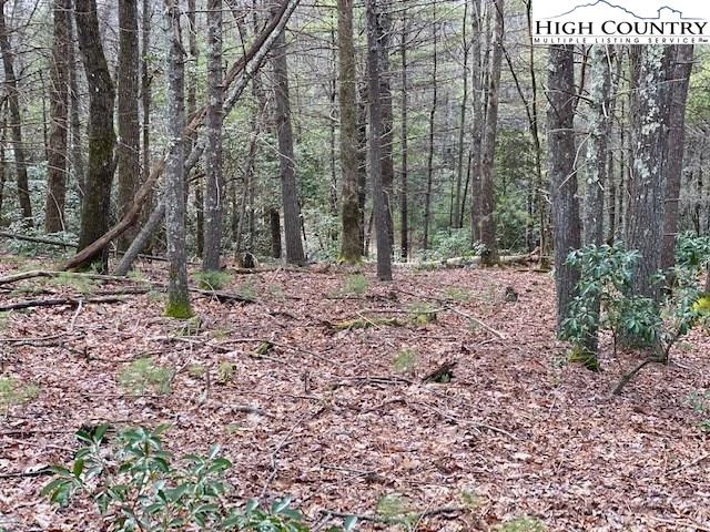 Image number 5 for the current listing
