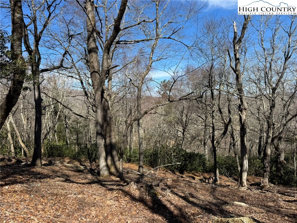 Image number 3 for the current listing