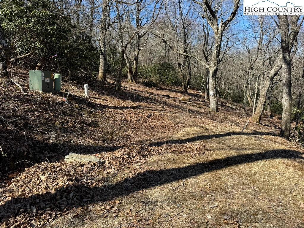 Image number 4 for the current listing