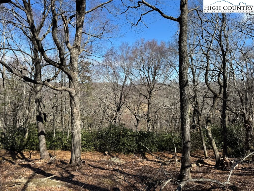 Image number 1 for the current listing