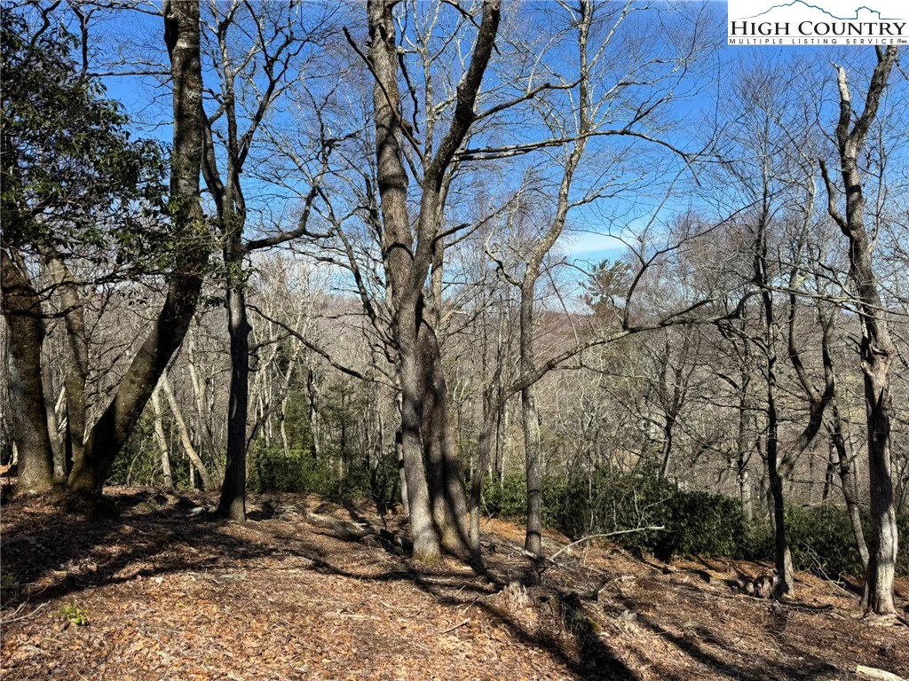 Image number 9 for the current listing