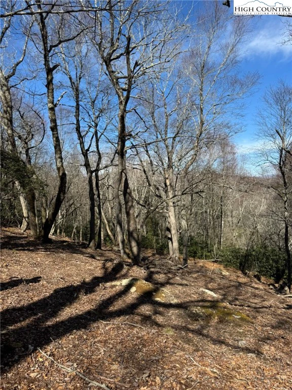 Image number 11 for the current listing