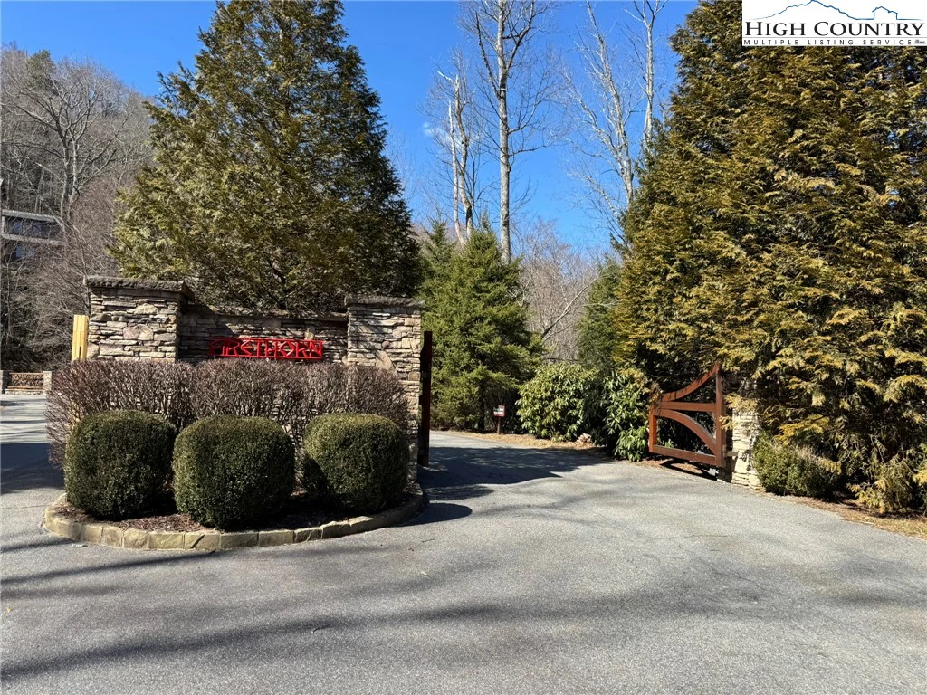 Image number 14 for the current listing