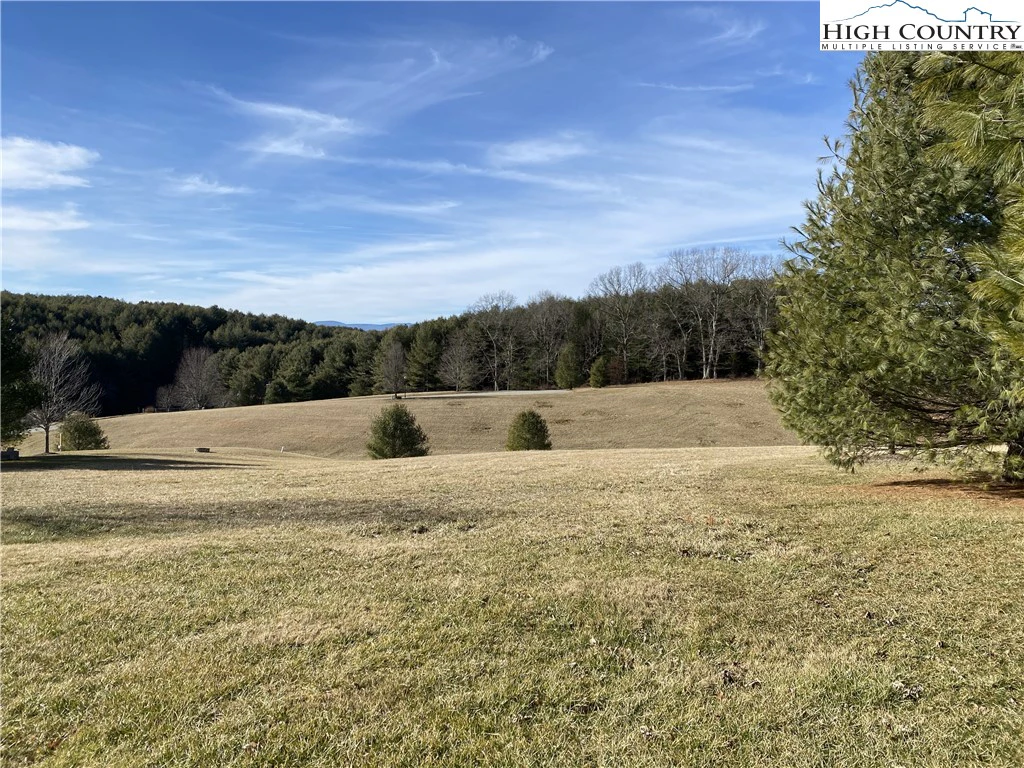 Image number 1 for the current listing
