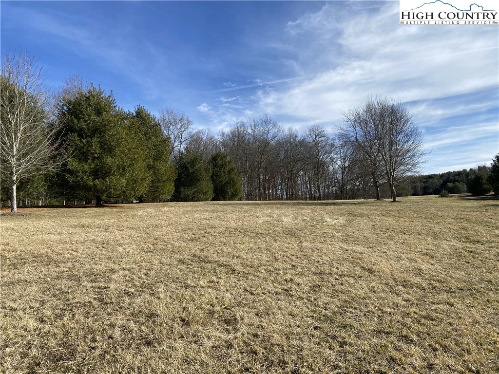 Image number 3 for the current listing